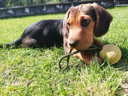 Sie werden so schnell erwachsen ...-Beitrag-Bild