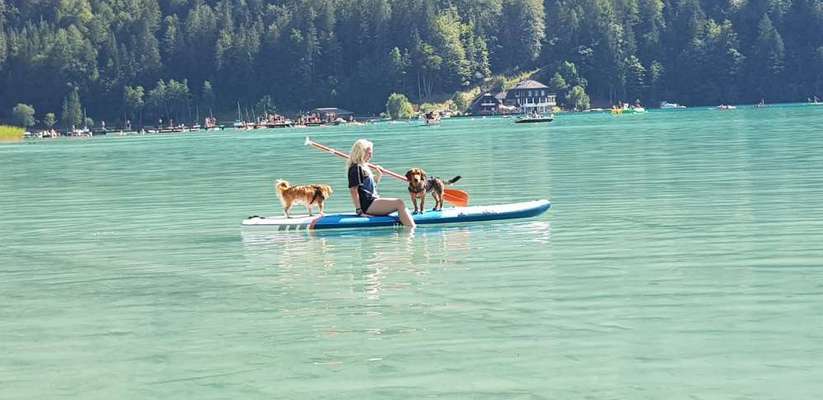 Dogorama-Monats-Challenge-Mai "Wasser"-Beitrag-Bild