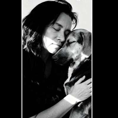 Hundetreffen-Spiel und Spaß