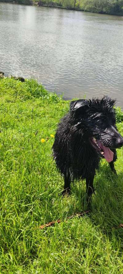 Foto Challenge Nr.133-Beitrag-Bild