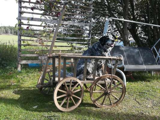 CHALLENGE NR. 18 - ON TOUR-Beitrag-Bild