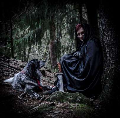 Foto's und Hundemodels-Beitrag-Bild