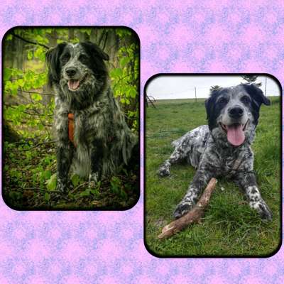 Vorher und Nachher-Beitrag-Bild