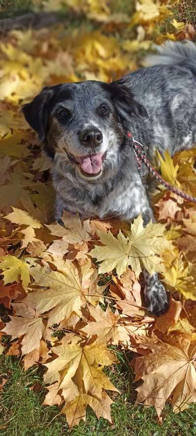 Fotochallenge Nr. 56 - geliebte Senioren-Beitrag-Bild