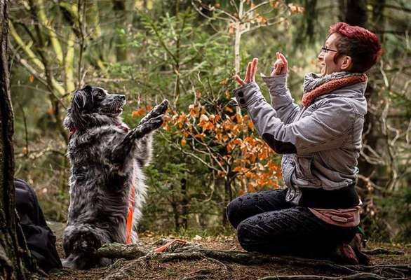 Euer schönstes Bild mit eurem Hund gemeinsam!-Beitrag-Bild