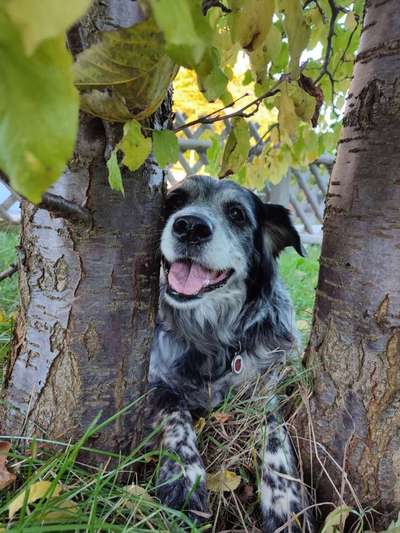 Herbst Bilder-Beitrag-Bild