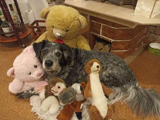 Fotochallenge 69-Beitrag-Bild