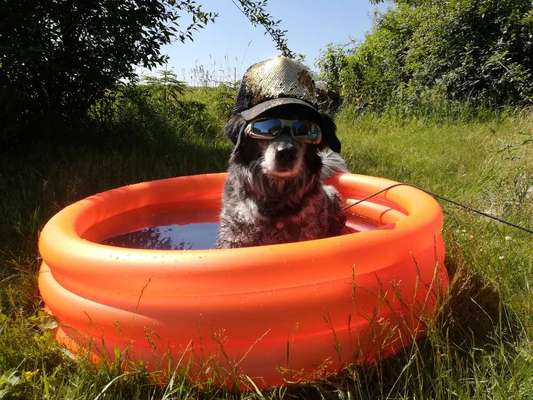 Urlaub im Spreewald - Kanu/bzw.Bootstouren-Beitrag-Bild