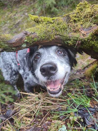 Farben Fotochallenge Thema ,,Grün"-Beitrag-Bild