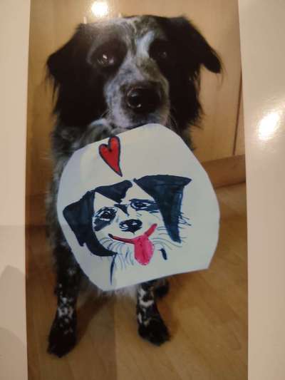 Fotochallenge 88-Beitrag-Bild