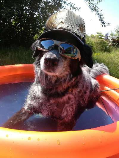 Theos Fotochallange Nummer 4-Beitrag-Bild