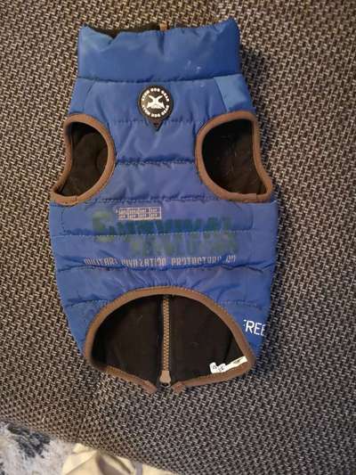 Hundejacke bzw Pullover-Beitrag-Bild