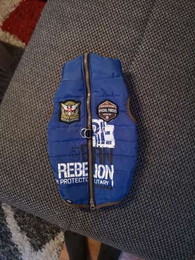 Hundejacke bzw Pullover-Beitrag-Bild