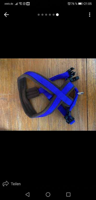 Geschirre zu verschenken-Beitrag-Bild