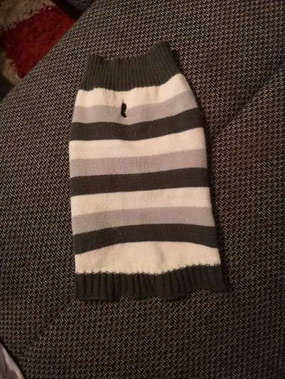 Hundepullover-Beitrag-Bild