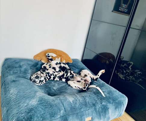 Erfahrung mit Wolkenbett-Beitrag-Bild