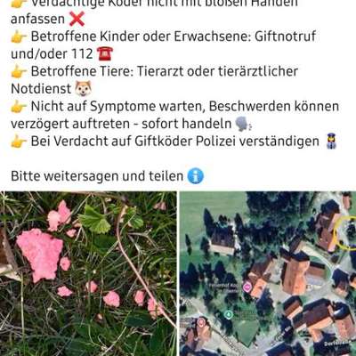 Giftköder-evtl. Giftköder-Bild