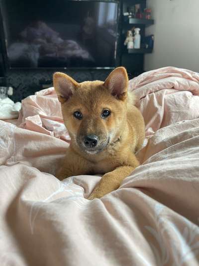 Fotochallange Nr. 57     PORTRÄT.   Beendet!!!!!!!!-Beitrag-Bild