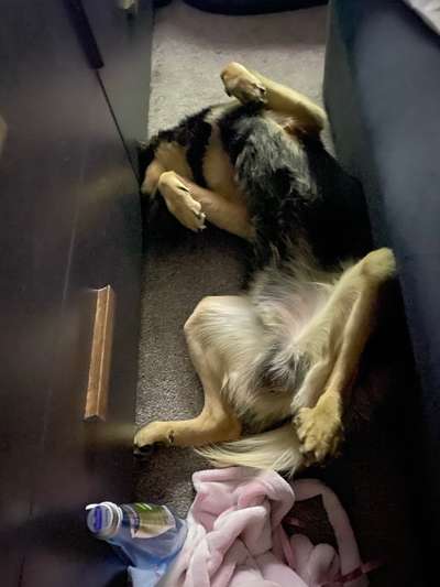 Die unbequemsten und lustigsten Schlafpositionen-Beitrag-Bild