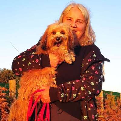 Hundetreffen-Spaziergänge mit kleinem Hund-Profilbild