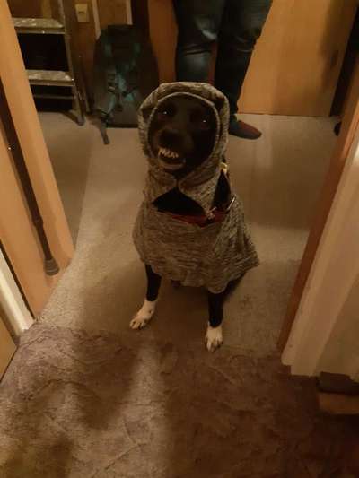 Pullis, Jacken, Hütte und alles sonstiges-Beitrag-Bild