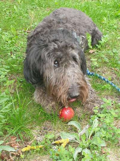 Lieblingsbild-Beitrag-Bild