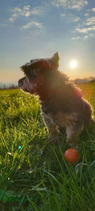 Farben Fotochallenge Sonnenlicht-Beitrag-Bild