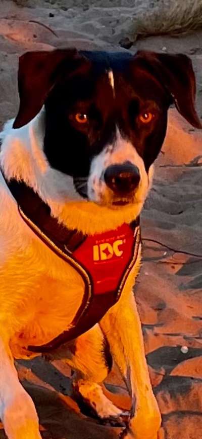 Fotowettbewerb zum Thema "Sonne"-Beitrag-Bild