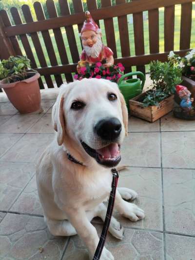 Fotochallange Nr. 57     PORTRÄT.   Beendet!!!!!!!!-Beitrag-Bild