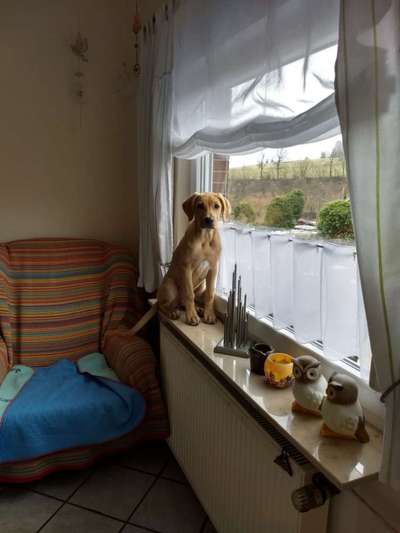 Lieblingsbild-Beitrag-Bild