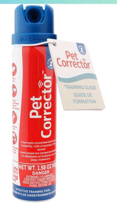 Erfahrungen mit Pet Corrector Spray?-Beitrag-Bild