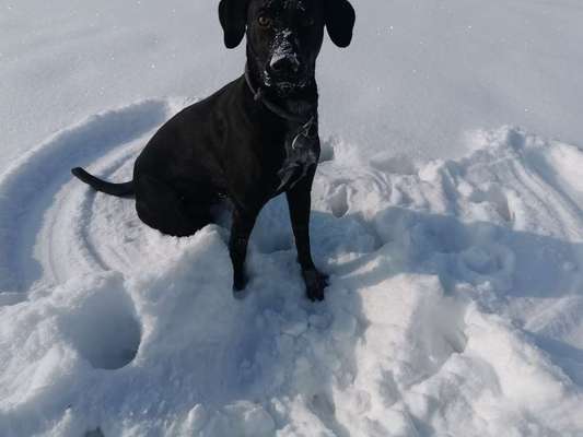 Fotochallenge 61 ~ Schnee-Beitrag-Bild