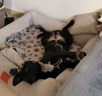 Die unbequemsten und lustigsten Schlafpositionen-Beitrag-Bild