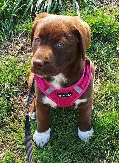 Hier ist der Spaßthread. Zum Schmunzeln und Kaputtlachen-Beitrag-Bild