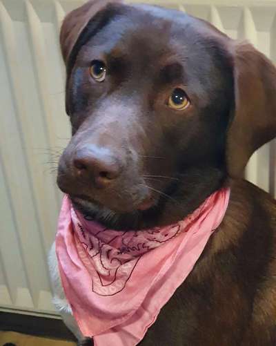 Fotochallange Nr. 57     PORTRÄT.   Beendet!!!!!!!!-Beitrag-Bild