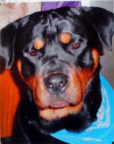 Fotochallange Nr. 57     PORTRÄT.   Beendet!!!!!!!!-Beitrag-Bild