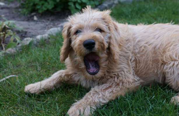 Lieblingsbild :D-Beitrag-Bild