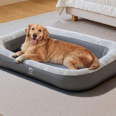 ❗️SUCHE DRINGEND …❗️-Beitrag-Bild