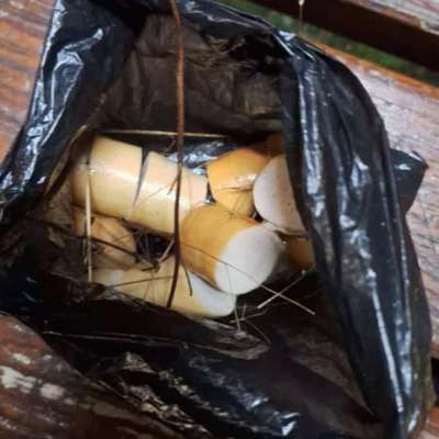 Giftköder-Achtung Giftköder!-Bild