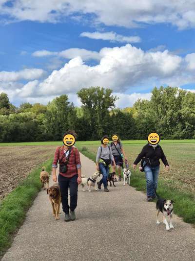 Was hat euch heute gefreut?-Beitrag-Bild