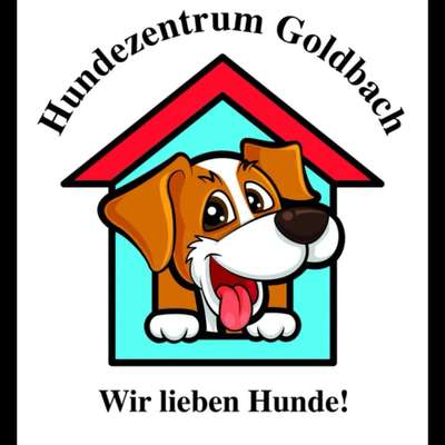 Hundepensionen-Hundezentrum Goldbach-Bild