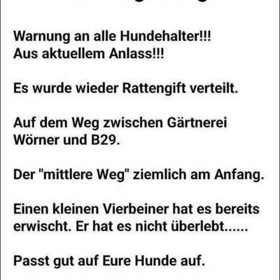 Giftköder-ACHTUNG RATTENGIFT-Bild
