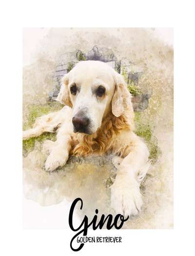 Unsere Fellnasen im Regenbogenland-Beitrag-Bild