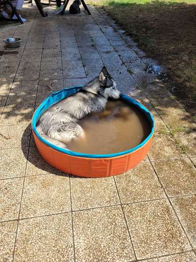 Handy-Foto-Challange Nr.9-Beitrag-Bild