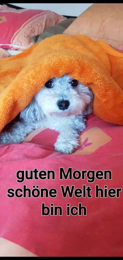 Schlafzeit!💖-Beitrag-Bild