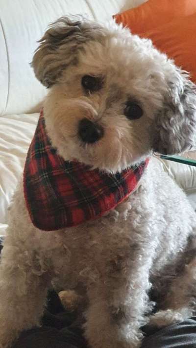 Lieblingsbild-Beitrag-Bild