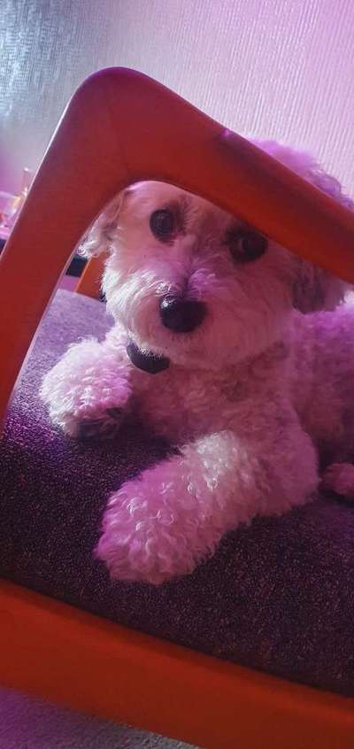 Lieblingsbild-Beitrag-Bild