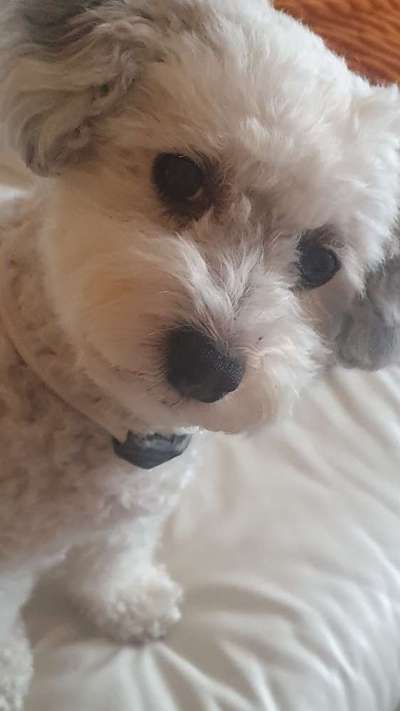 Fotochallange Nr. 57     PORTRÄT.   Beendet!!!!!!!!-Beitrag-Bild