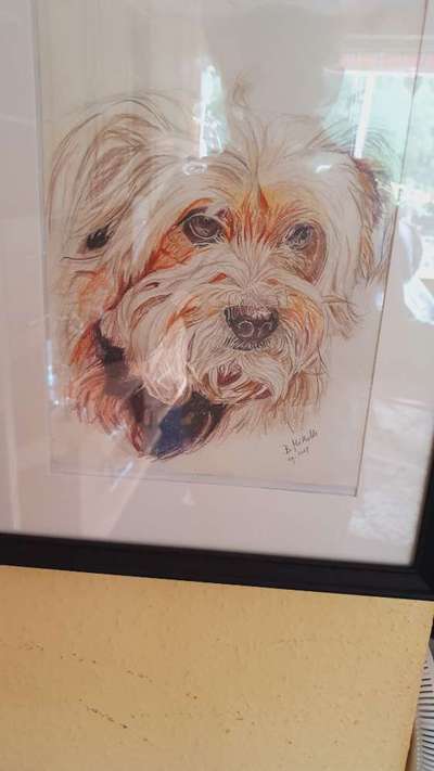 Lieblingsbild-Beitrag-Bild