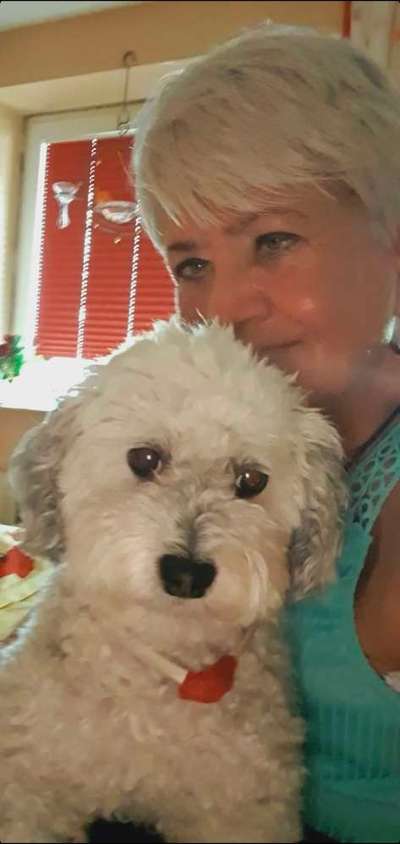 Challenge 33 - Du und dein Hund-Beitrag-Bild